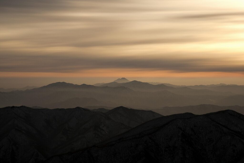 酵素ドリンクを使ったファスティングプログラムの効果と方法は？